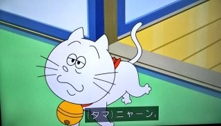 「世界一長寿」と報じられた猫 31歳で天寿を全う(英):コメント7