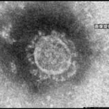 “カラオケ大会”でクラスターか…参加者7人が新型コロナ感染 他に39人参加 全員PCR検査へ