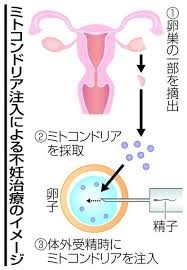 ひろゆきが考えた本気の少子化対策「子ども1人につき1000万円を支給」：コメント12