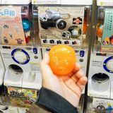 ｢親ガチャという概念は正しい｣アメリカ人経済学者が