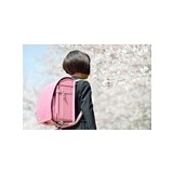 プロ家庭教師が早期教育に反対 小学1年生からの受験勉強は「早すぎる」