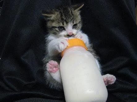 女性専用性感マッサージを受けた40代女性 気がついた「無意識の洗脳」:コメント16