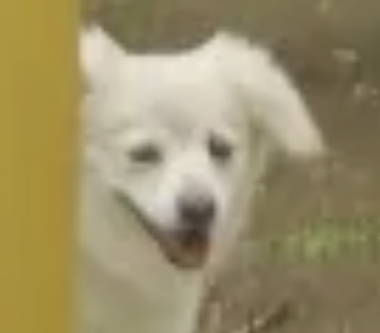 堀北真希の妹NANAMIが「イケメン若手俳優」栁俊太郎とデート：コメント3