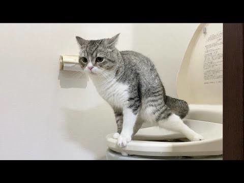 吉川ひなの 毒親の搾取、洗わない育児 著書で半生を赤裸々告白:コメント11