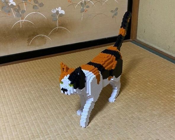 ウケた画像w：コメント7805