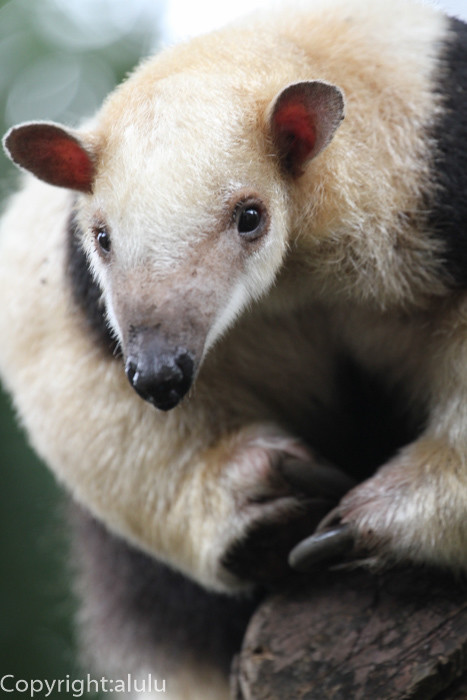 スーパーのレジで…　およそ6人に1人が「恥かしい」と感じている買い物：コメント30