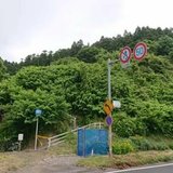 山林から性別不明の「人の脚」…クマに襲われたか 畑作業に出かけた70代女性が行方不明