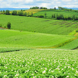定年後「田舎のログハウス暮らし」を叶えた夫婦を待っていた「地獄の日々」