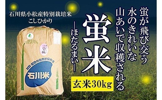 「白いごはんを食べるのは砂糖を食べるのと同じ」脳を侵食する"糖質中毒"の恐さ：コメント4