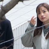 石原さとみ　献立表はまとめて1カ月！ハイスペ夫支えるスゴ腕料理術