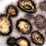 新型コロナ 東京都で新たに5042人の感染確認