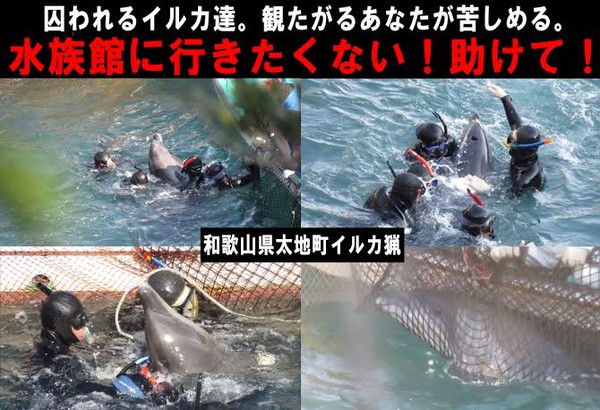 元「光GENJI」内海光司、放置すれば呼吸困難の可能性…医師「ローラースケートは危険」：コメント63