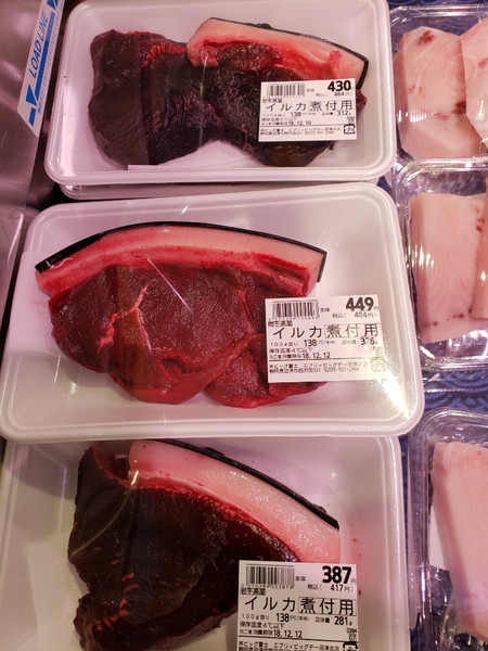 「水族館の人気者」イルカが迎える恐ろしい結末:コメント10