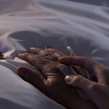 死別、認知症の恐怖…子なし70代夫婦が頭を抱えた「死後」の手続きの大問題