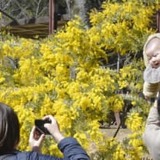 女性の働きやすさ、ワースト2位　英誌ランキングで日本