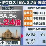 “感染力3倍”新たな亜種『ケンタウロス』国内初確認 感染ピーク山が大きくなる可能性も