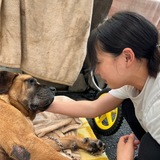 犬を飼って3日で「なんか違った」と飼育放棄…