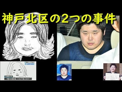 息子の命奪って10年超逃亡　逮捕された「元少年」は既に成人なのに…：コメント14