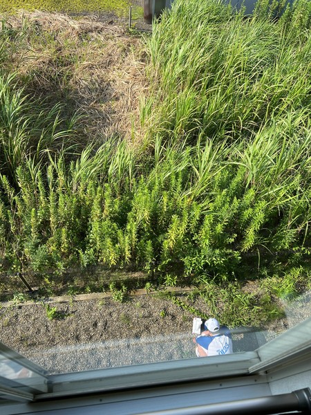 アート引越センター従業員が私有地で「脱糞行為」　茂みに捨てる...広報が事実認め謝罪「大変遺憾」：コメント6