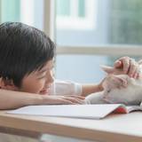 世界的に「シャイな子ども」がものすごく日本に多い理由