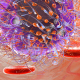 「日本人を道連れにしてやろうぜ」…東京・池袋でHIVをバラまく中国人たちが言い放った、ヤバすぎる