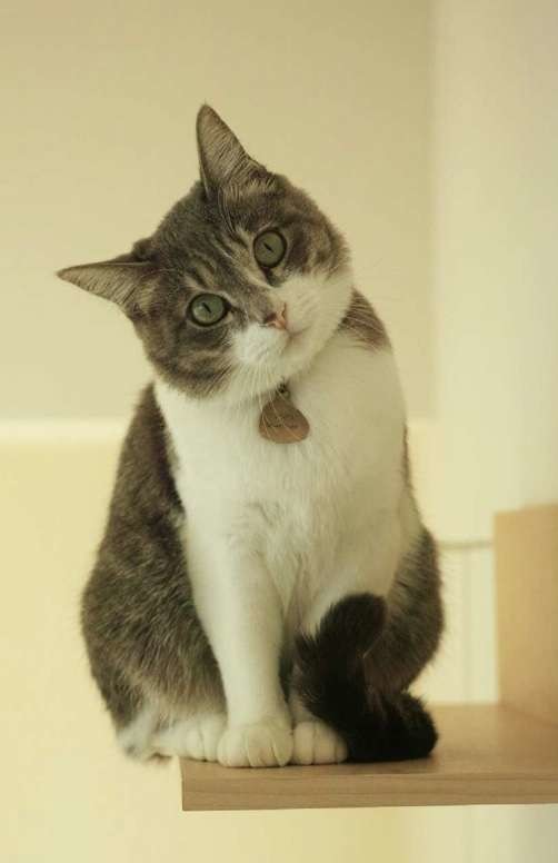 子どもに「キラキラネーム」付ける親、どう思う? 本音を保育士に聞いてみた:コメント2