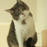 子どもに「キラキラネーム」付ける親、どう思う？　本音を保育士に聞いてみた