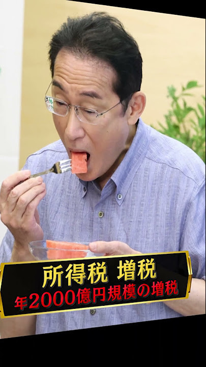 岸田首相がスーパーを視察「野菜や肉、確かに高くなっている。思い切った対策を実行する」:コメント8