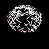 「父親の飲酒習慣」が胎児の発達の遅れや知的障害を引き起こすとの研究結果