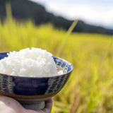 日本人がコメを食べられなくなる日が現実に…個人経営の農家は大赤字で離農加速の深刻