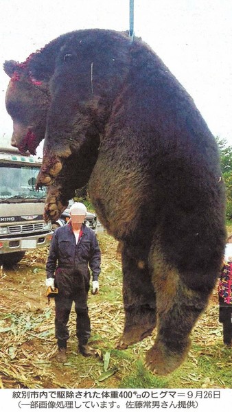 住宅街にヒグマ、目撃相次ぐ…足跡が向かう先に戸建て：コメント2