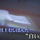 「血管という血管に覚醒剤を打っていた」小学生から20年以上覚醒剤を使用…“白い悪魔”の恐ろしさを語る