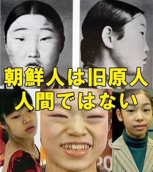 飛行機内でCAに「ゴミ女」　“日本人女性”が怒鳴り続ける：コメント29