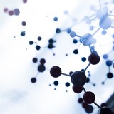 親ガチャの真実…身長・体重は9割、知能・学業成績も5、6割は遺伝という衝撃！