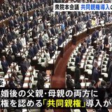 「共同親権」導入を柱とした民法改正案　衆院・本会議で可決