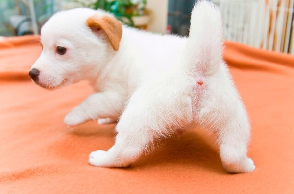 「なんでケツの穴を他人に診せなきゃいけないんだ!」戻れぬ3年前の後悔:コメント2