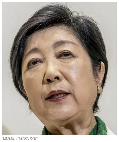 蓮舫「私ほどふさわしい人はいない」　国際都市・東京のトップを目指す理由：コメント438