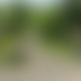 小3男子がズボンを脱がされ…加害者が警察で証言した“あまりに身勝手な犯行理由”とは