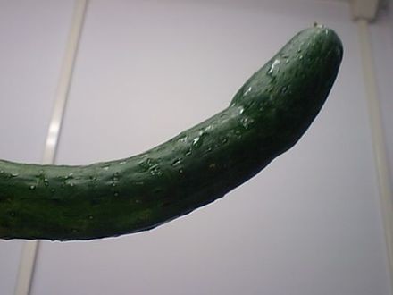 元フジアナ・渡邊渚とNHKの間でトラブル発生「担当ディレクターは休職：コメント4