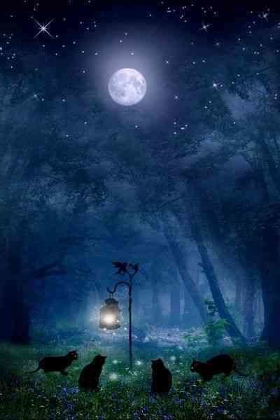 「滅びればいいのにこんな国」賞与の“手取り減少”で爆発した不満と反発──:コメント2