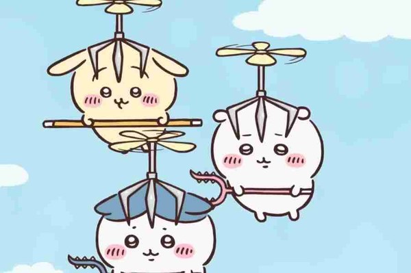 備蓄米、小売業者へ引き渡し開始　週明けにも店頭に、5キロ2千円：コメント2