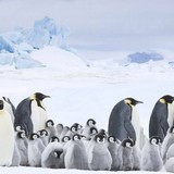 今後「専業主婦になりたい」女性は約2割。共働き増加も「共働き＝ゴール」ではない理由