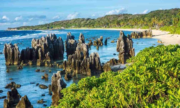 オーストラリア「本国に帰れない人はどこかに行ってもらう必要がある」：コメント2