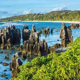 オーストラリア「本国に帰れない人はどこかに行ってもらう必要がある」