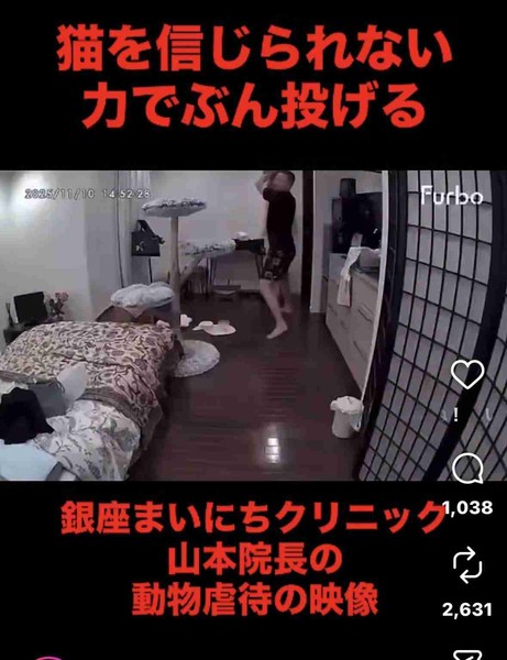 銀座クリニック院長に猫虐待疑惑　コレコレ配信後に実名拡散炎上、警察は調査中・猫の安否不明：コメント2