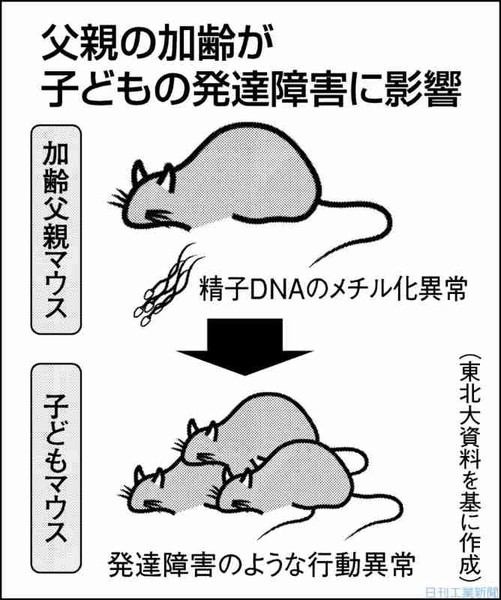 「若い女性と子どもがほしい」50代男性の多さに愕然…58歳女性が知った熟年婚活の現実：コメント2