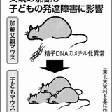 「若い女性と子どもがほしい」50代男性の多さに愕然…58歳女性が知った熟年婚活の現実