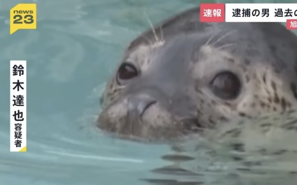 旭山動物園の焼却炉に30代妻の遺体を遺棄か：コメント15