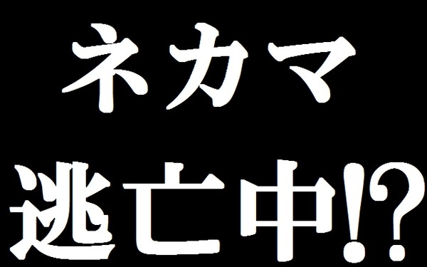 風俗、むかつく客あるある：コメント5614