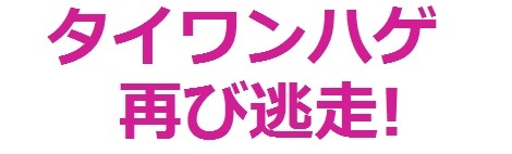 風俗、むかつく客あるある：コメント7665